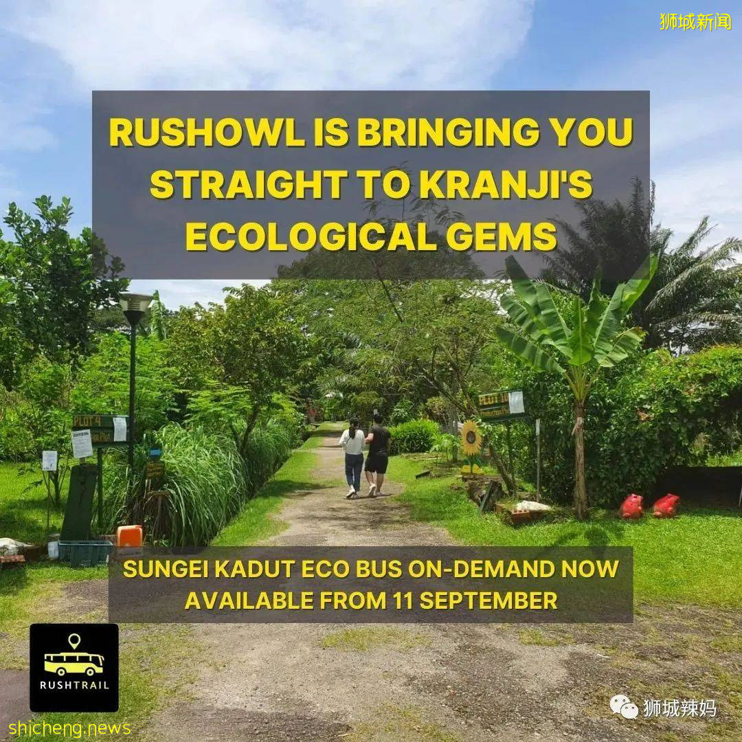 $1起!全新2條巴士線,去夏氏牧場、青蛙農場、東海岸再也不用打車啦