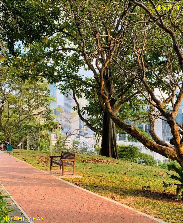綠色天窗？巨型樹洞？看看新加坡淨化心靈“龍之穴”!