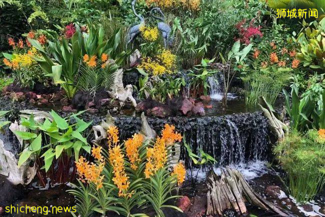 新加坡旅遊，有哪些好玩的地方？中國遊客：就像去了另一個城市