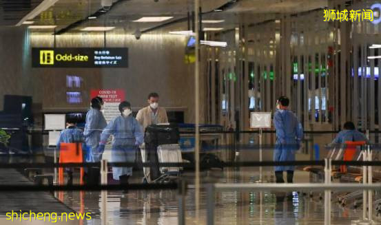 新加坡、印度互通边境!11月29日起,新印两国每天将开设六趟航班往返