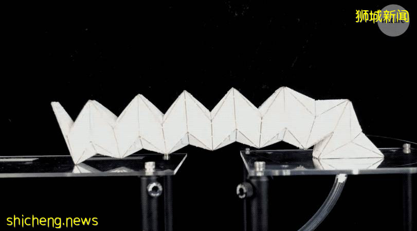 “折紙” 也能發 Nature？多穩態充氣折紙結構，能瞬間支起小帳篷