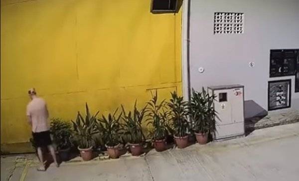 男子用人体水管替盆栽浇水 网友:植物会枯萎