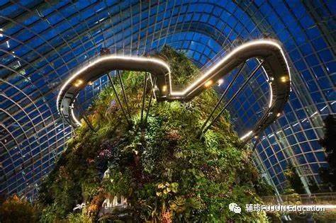 跟着小筠去游玩——新加坡的吃喝玩乐(上篇)