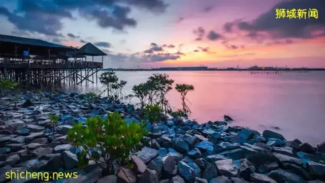 更多人长周末到峇淡岛民丹岛 检测让部分人却步