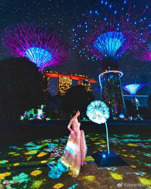 【下周活動】運動裝買一送一、小尾羊半價