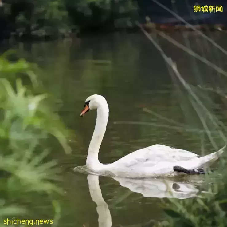 周末免费遛娃好去处，总统府又开放啦~还有表演和许多活动哦