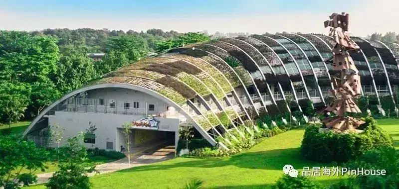 新加坡幼兒園報名在即,想了解低齡留學的看過來