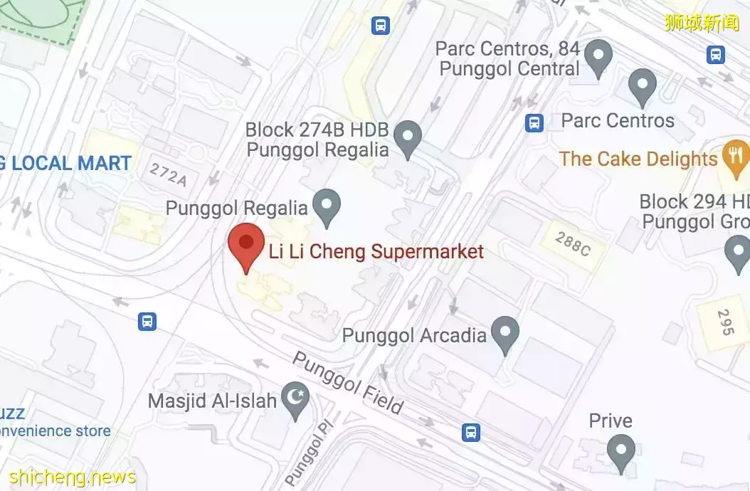 8人平分1900萬新幣！新加坡全民瘋狂買彩票、鋪滿整個房間！他連中頭獎+二獎