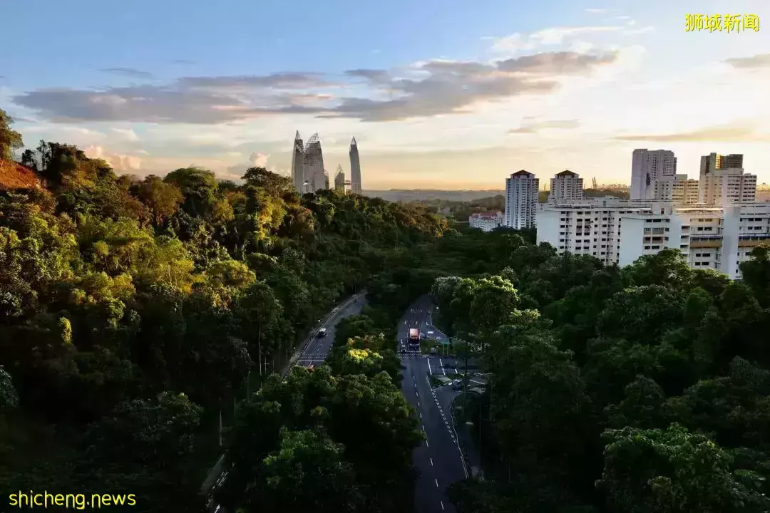 房产新政后新加坡地产遇冷了吗？聚焦1月最新行业数据和调查结果