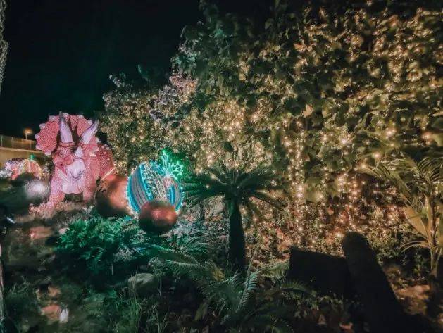 【周末去哪玩】聖誕仙境，植物園世界之樹，聖淘沙海灘HelloKitty，閃耀星光燈光秀，等等等等