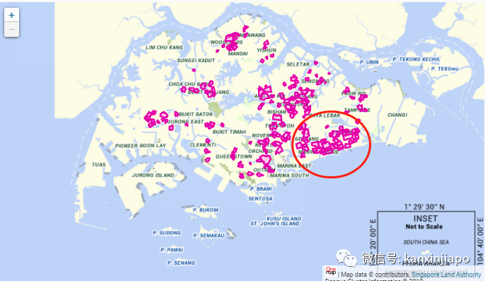 新加坡近3万人患骨痛热，入院11天生离死别，毒蚊带走健康母亲