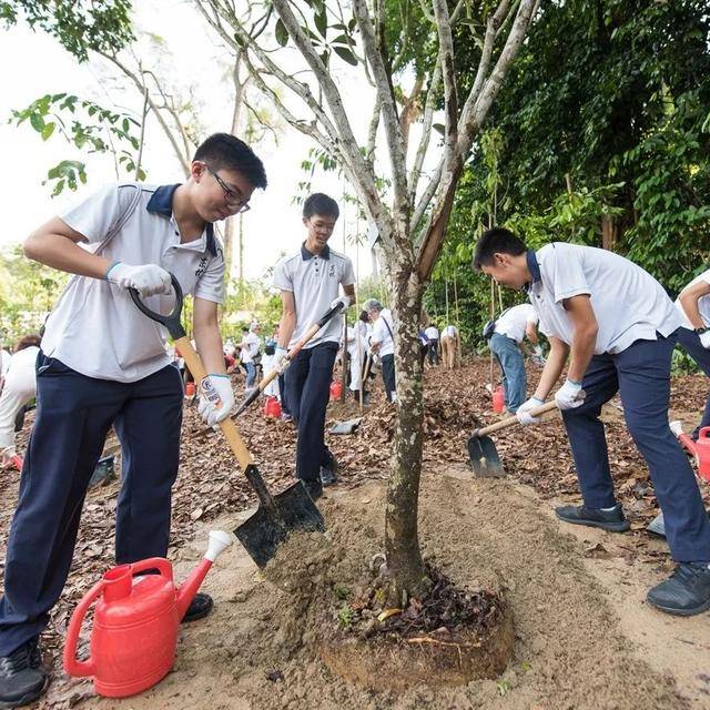 新加坡人对绿色有多着迷?公交车顶种草,大楼里植树,实在绝了