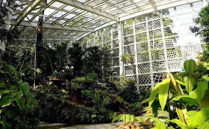 厲害了！新加坡封城一周年之際，狂開10個新景點准備迎外國遊客