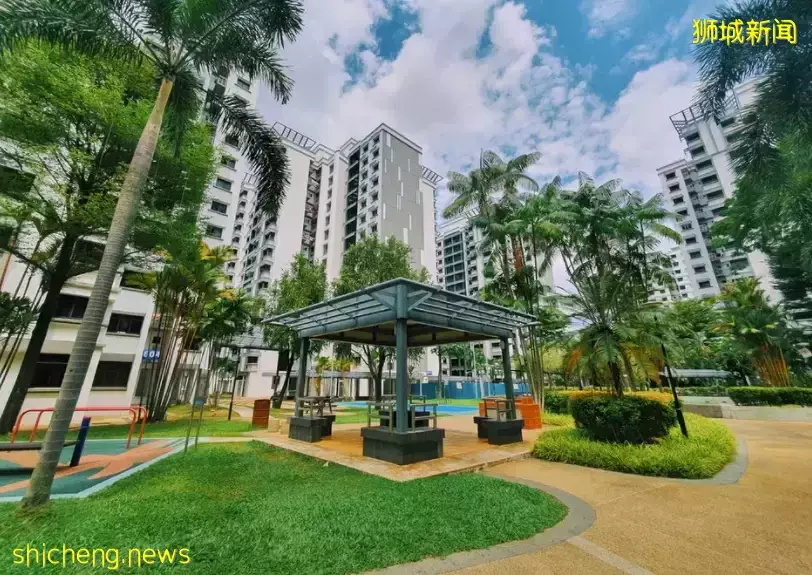 新加坡小学报名开始了!今年有什么变化?流程是什么?一文看懂