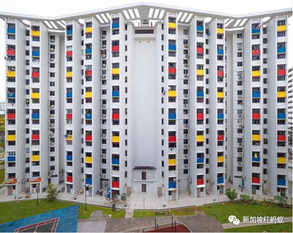 新加坡人镜头下“家的形状”是什么? 答案就在2500多张照片里