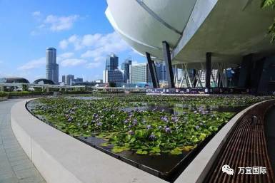 新加坡在悄悄改變!你發現了嗎