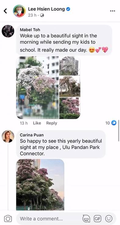 李顯龍總理發了一個帖子，評論區瞬間被淹沒