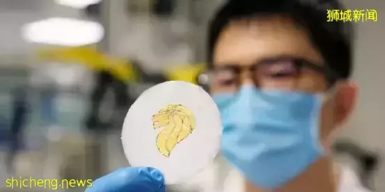 电池也能降解?新加坡的纸电池能在4周内分解