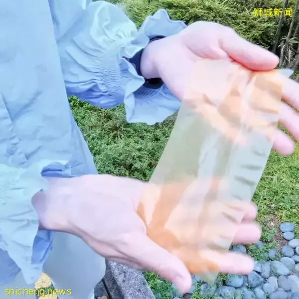 南大研究团队研发可多次重复使用的花粉纸