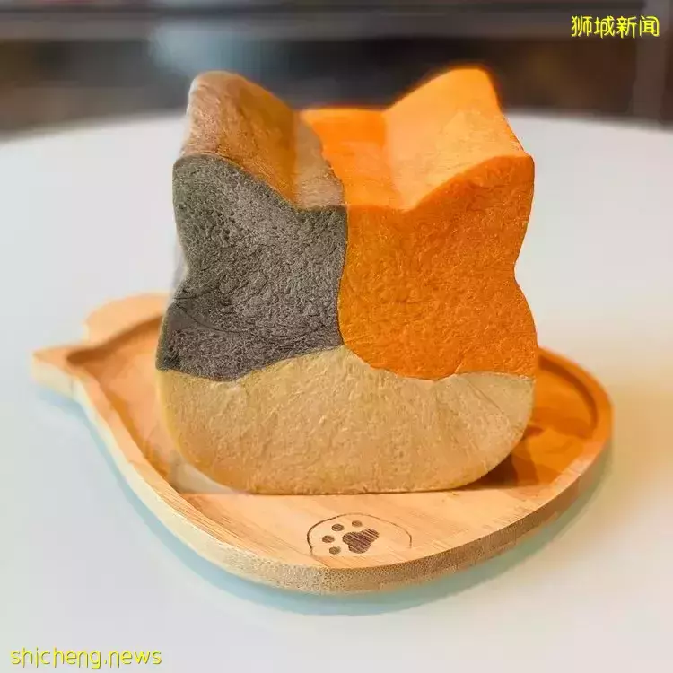 可愛到爆炸的貓咪面包“Cai Mama Shop”😽天然健康的手工吐司，小批量制作，要買要快🛒