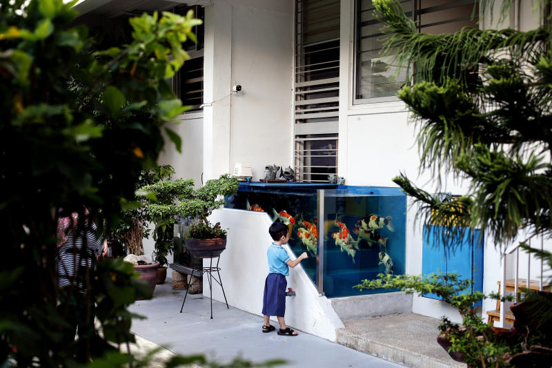 鱼缸外的风波，不要用鱼缸里的思维解决啊