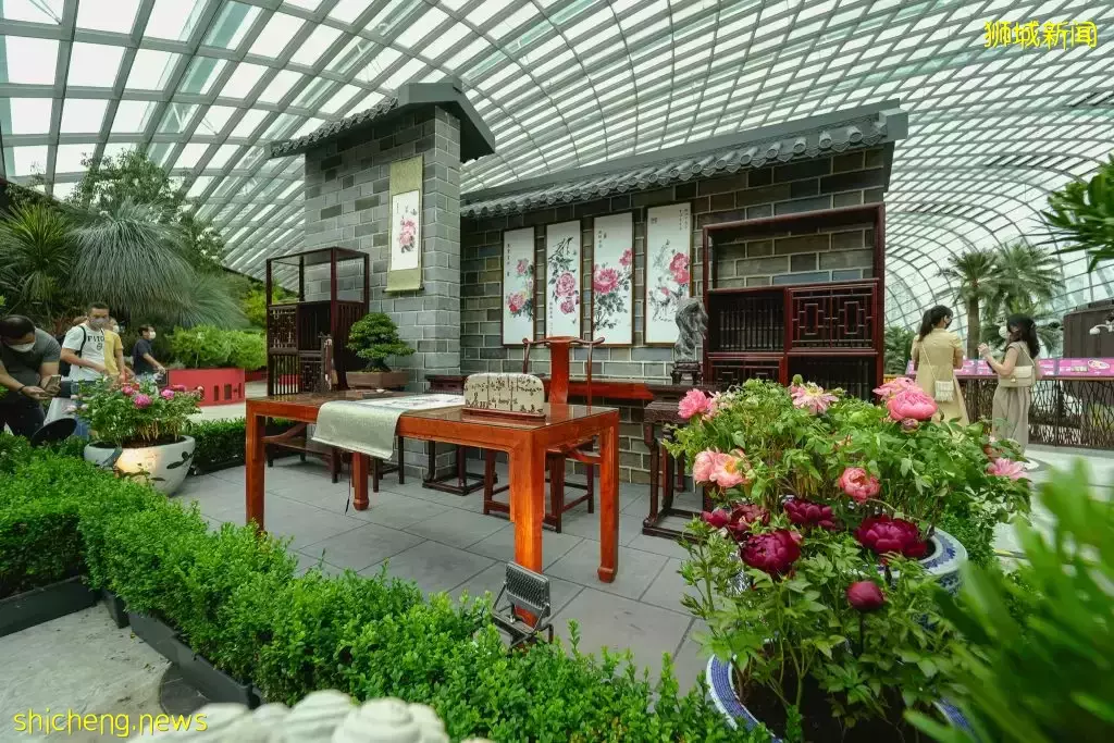 滨海湾花园10周年庆典Offer,长达6个月的无限次门票只要20新币