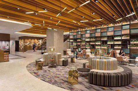 真正國際教育!身邊朋友都把孩子送這兒來了