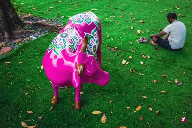 这里的车马喧嚣和香料味,你绝对在新加坡其他地方感受不到