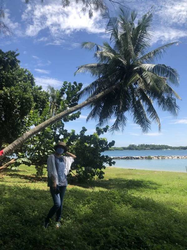 精彩国内游:新加坡南部岛屿休闲之旅