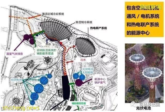 新加坡“花園中的城市”，看看這些巨樹參天的新奇景觀