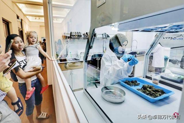 新加坡科技设计大学10周年庆 新加坡首开创意设计硕士课程