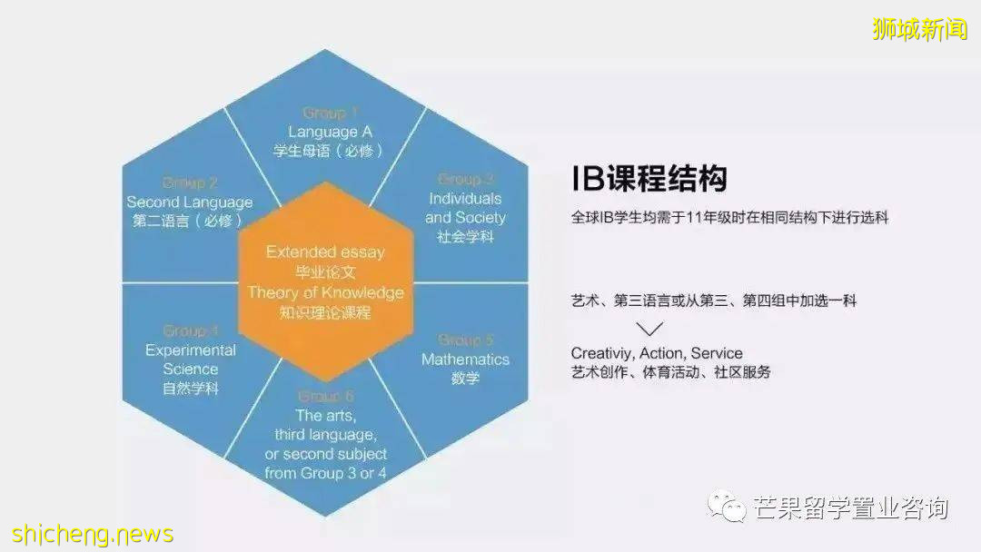 新加坡国际学校课程体系介绍