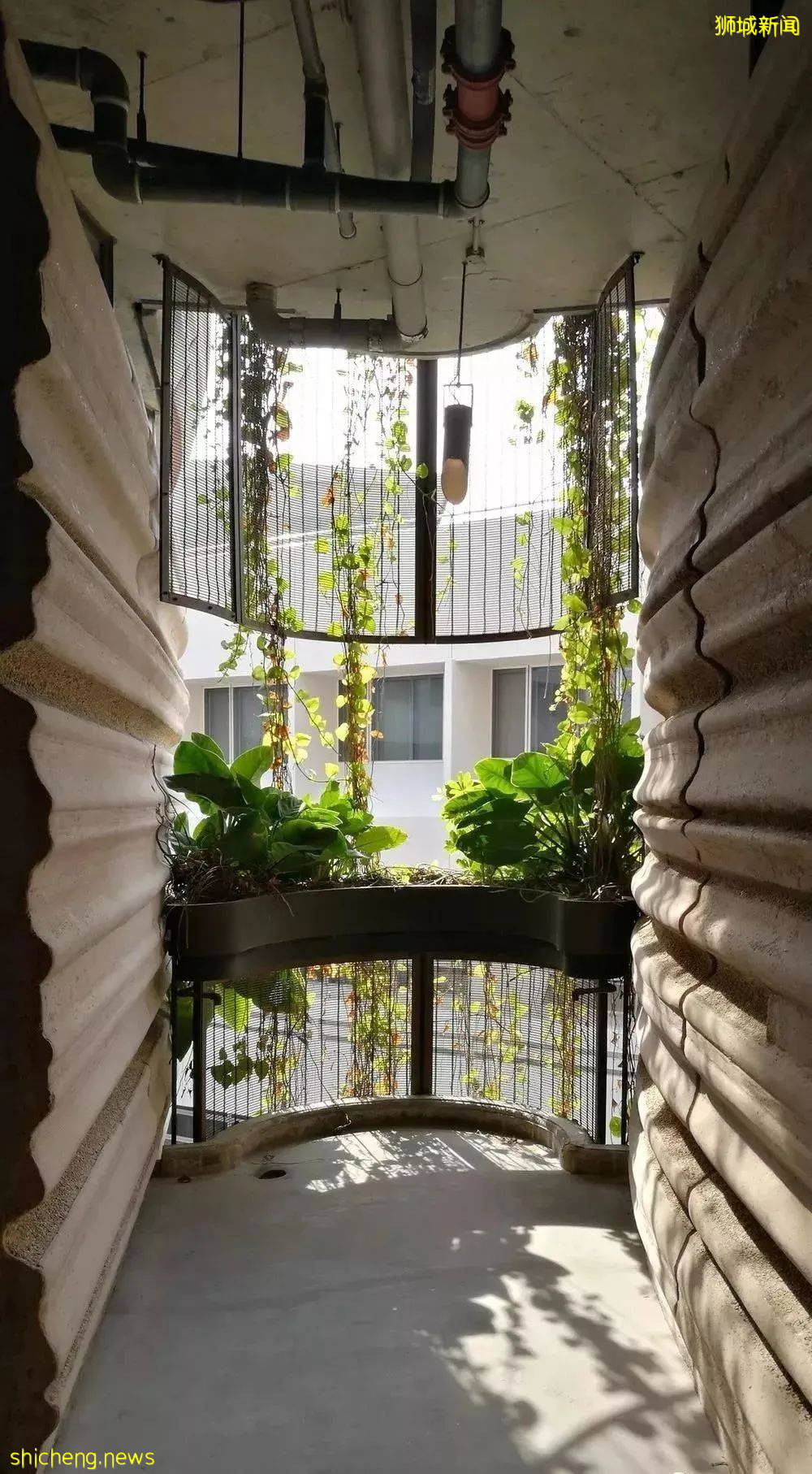 南洋理工大學 Hive 藏在校園裏的“小籠包”