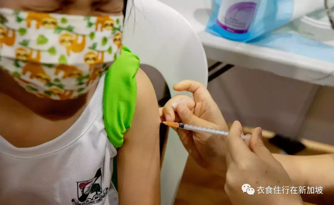 衛生部表示：迄今爲止，新加坡接種疫苗的兒童沒有報告嚴重的副作用