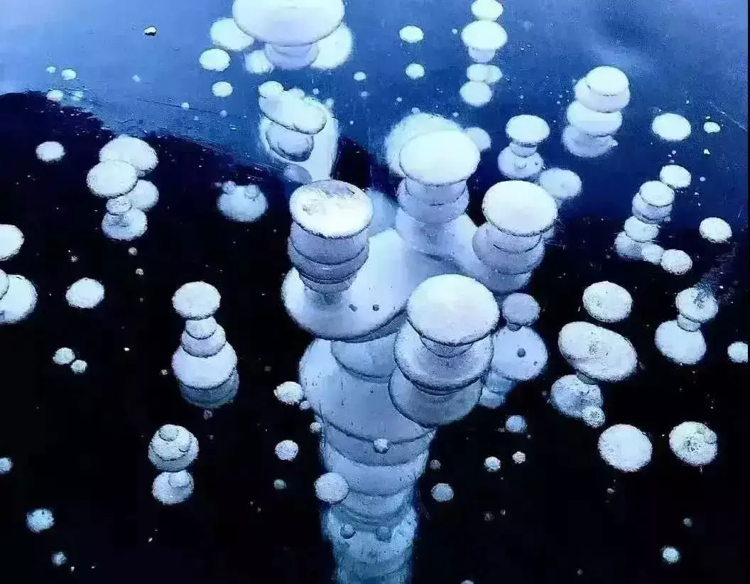 “黑龍江非常冰雪之旅”在新加坡上線