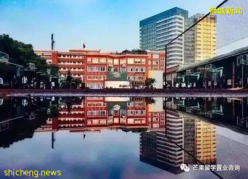 新加坡国际学校课程体系介绍