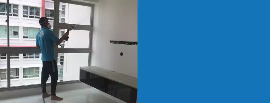 年末大扫除!精选新加坡7间家政中心,解放老母亲双手