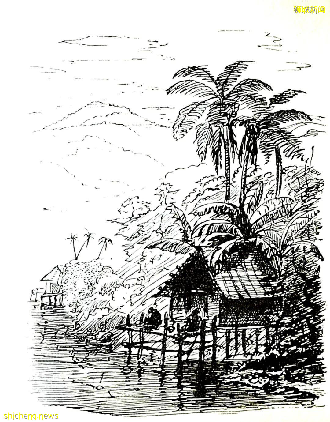 英国女王御用摄影师造访新加坡，他眼中的狮城原来是这样的