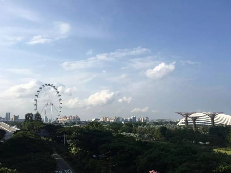 【美食篇】我在新加坡都吃了啥