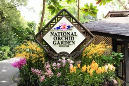 【新加坡留学】我很小,可是我拥有2项世界文化遗产