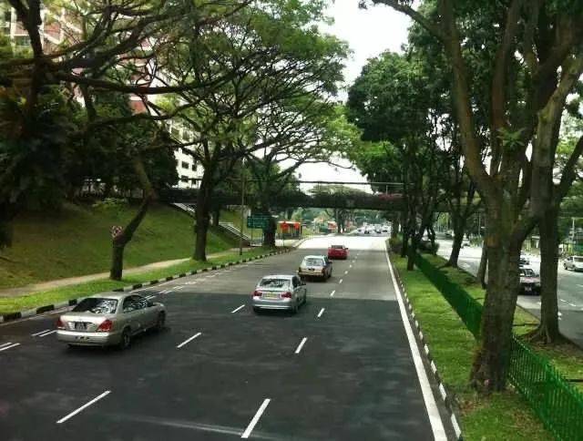 在新加坡國際學校留學，每年需要花多少錢