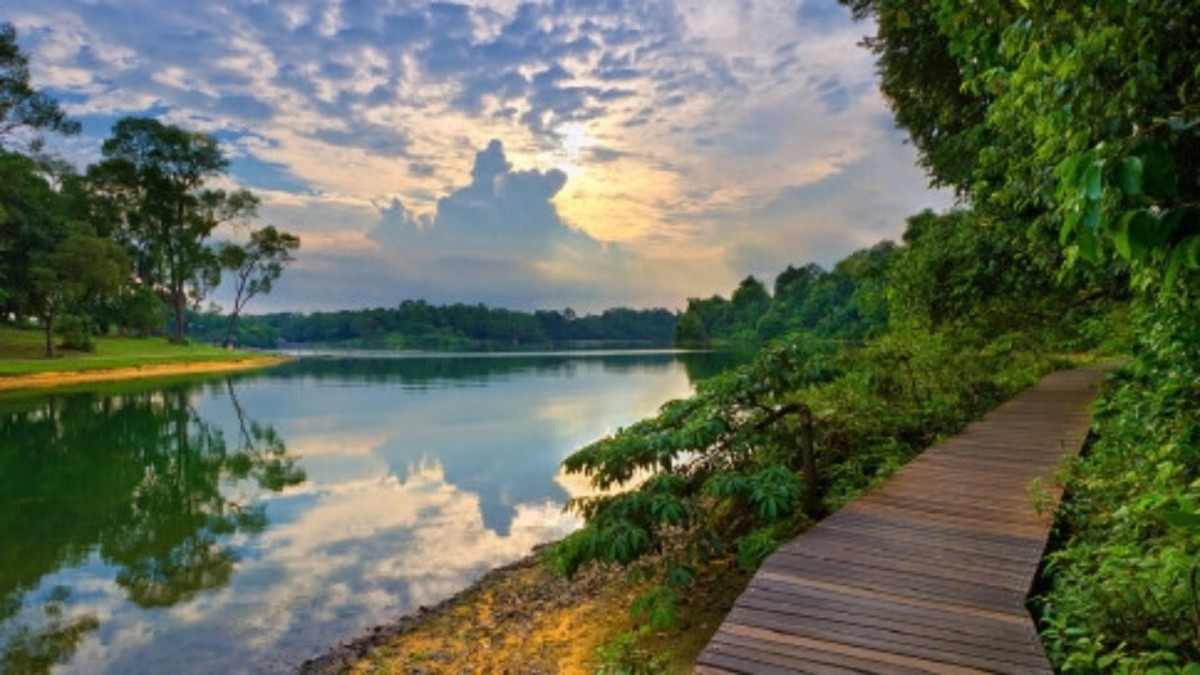 周末好去处 新加坡竟然还有这么美的划船好地方