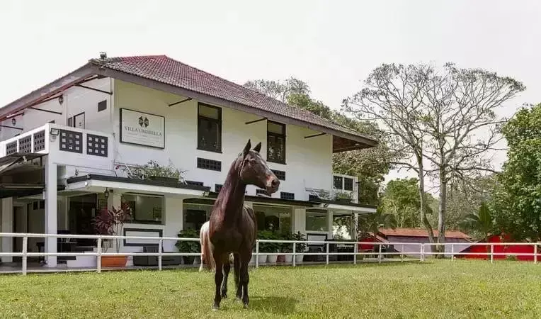 酒店住膩了?新加坡12個特別的度宅假方式推薦,小木屋、帳篷、遊艇