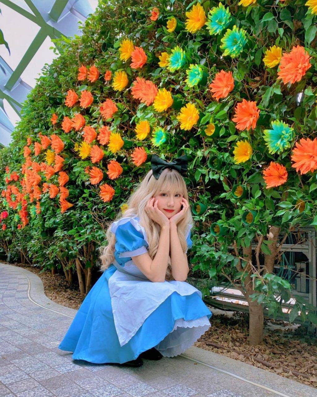 本地版爱丽丝梦境🧚🏻♀️Hedge Maze树篱迷宫冒险玩法大公开⚡暗藏惊喜,人过花开🌺