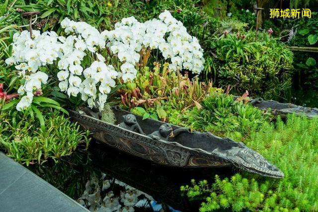 多味缤纷新加坡