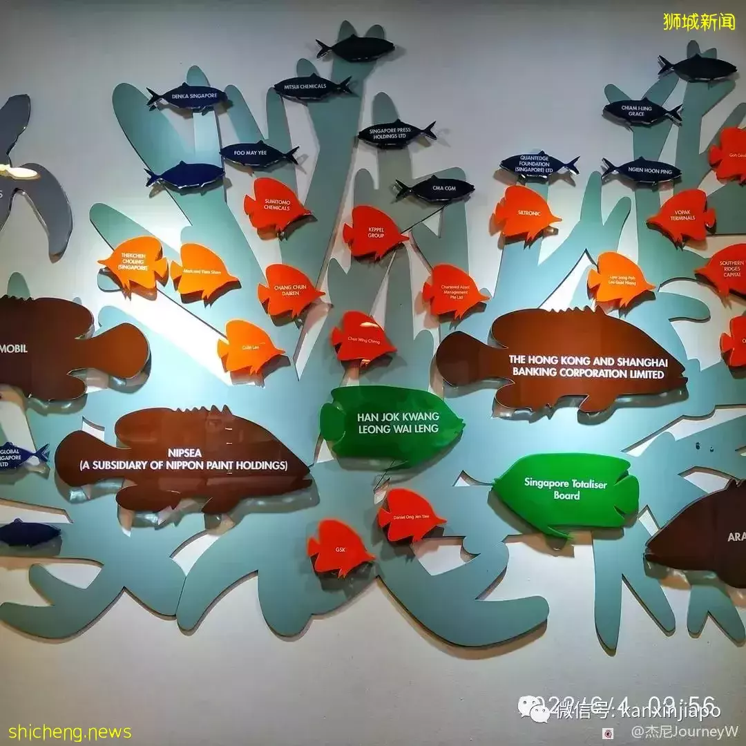 新加坡离岛攻略,半个多小时便能收获美景天堂