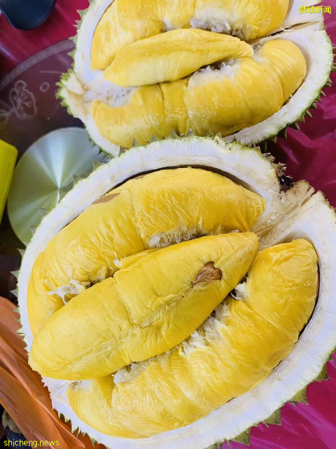 吐血整理！新加坡這20家榴梿太香了！S$11起