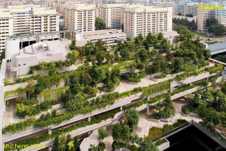 新加坡頂級設計，都在這裏