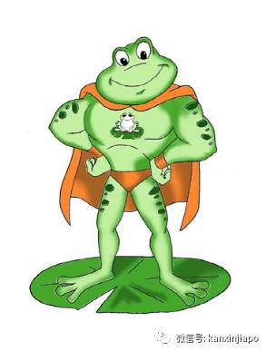 這些超萌的新加坡吉祥物，你認識幾個