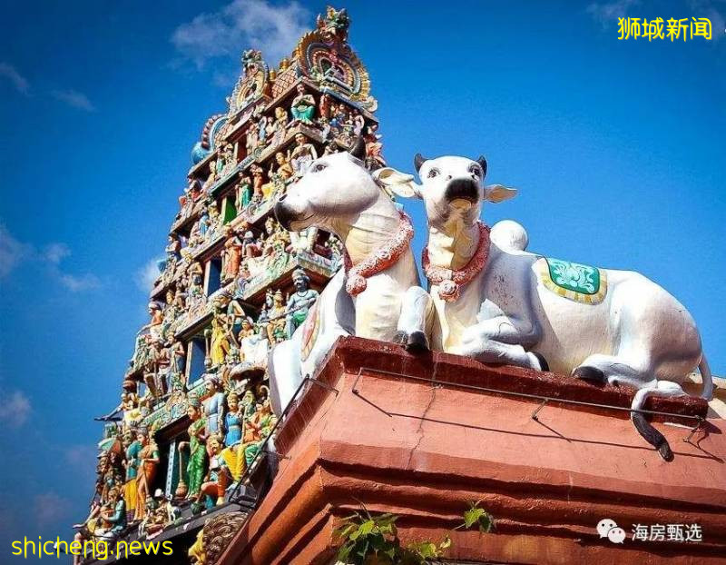 一篇文章告訴你新加坡投資移民的條件有哪些!